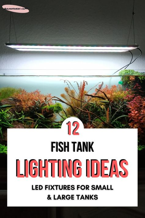 Find out how to choose the LED aquarium lighting that will fit your fish tank best. Learn what your new lights should be cabale of and get ideas with the top 12 products in the branch. Aquarium Lighting Ideas, Outdoor Fish Tank, Aquarium Hood, Lighting Units, Saltwater Fish Tanks, Aquarium Led, Fish Tank Lights, Aquarium Light, Aquarium Heater