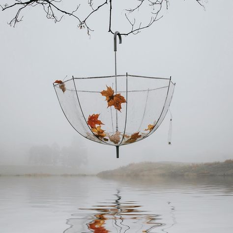 Throwback to last year Clear Umbrella Photography, Umbrella Photoshoot, Bubble Umbrella, Umbrella Photography, Transparent Umbrella, Clear Umbrella, Autumn Rain, Red Umbrella, Autumn Beauty