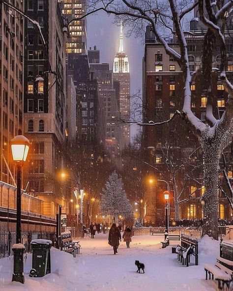 New York Aesthetic Winter, Winter In New York, In The Pale Moonlight, New York Architecture, Christmas Dreaming, I Love Snow, Christmas In The City, Cosy Christmas, Loving Life