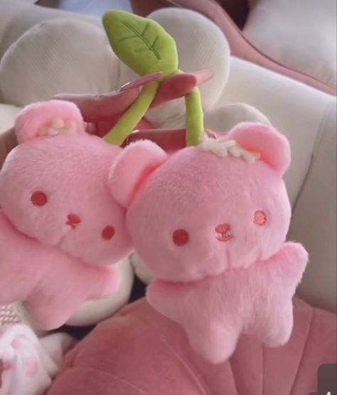 Cute Aesthetic Stuffed Animals, Stuffed Animal Astethic, Cute Pink Plushies, Plushies Aesthetic Korean, Kawaii Plushies Aesthetic, Cutecore Plushies, Sanrio Stuffed Animals, Kitten Plushie, Cute Stuffy