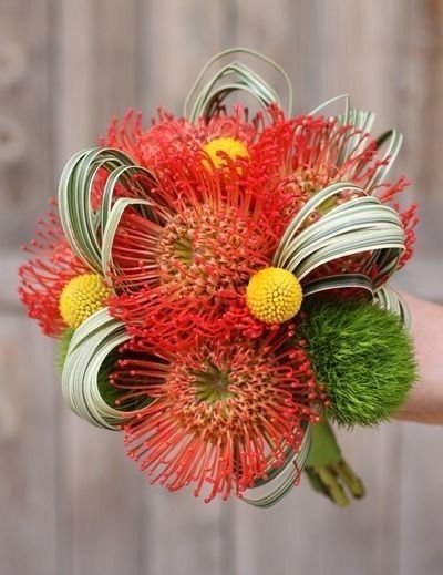 Pin Cushion Protea, Protea Bouquet, Orange Bouquets, Orange Wedding Flowers, Modern Wedding Flowers, Protea Flower, Hello Darling, Orange Wedding, Pin Cushion