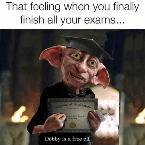 Elf Meme, Sassy Harry Potter, Dobby Is A Free Elf, Elf Memes, Dobby Is Free, Harry Potter Wallpaper Backgrounds, Free Dobby, Dobby Harry Potter, Witty Instagram Captions