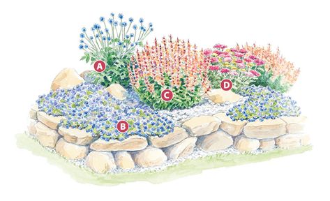 Perennial Garden Plan, Perennial Garden Plans, Drought Tolerant Perennials, Drought Tolerant Garden, Drought Tolerant Landscape, Garden Plan, Alpine Plants, Planting Plan, Low Maintenance Landscaping