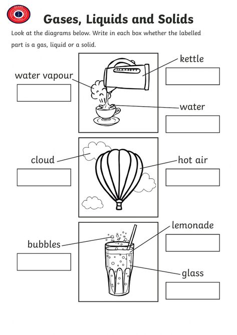 Solids Liquids Gases Activities, Solid Liquid Gas Worksheet, Living Things And Non Living Things, Gas Work, Solid Liquid Gas, Classroom Preparation, Second Grade Science, States Of Matter, Teacher Worksheets