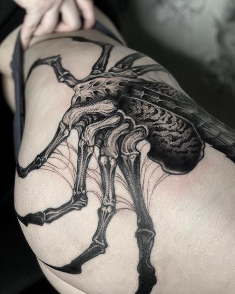 A&M Tattoo | Custom Tt and Art on Instagram: “Facehugger details 🕷⁣⁣⠀ ⁣⁣⠀ Freehand only ✍🏼⁣⁣⠀ _______________⁣⁣⠀ #facehugger #am_tattoo #am_freehand #freehandtattoo #tattooart #alientattoo…” Alien Face Hugger Tattoo, Face Hugger Tattoo, A M Tattoo, Facehugger Tattoo, Alien Tattoo Xenomorph, Facehugger Alien, Gnarly Tattoos, Alien Tattoos, Predator Tattoo