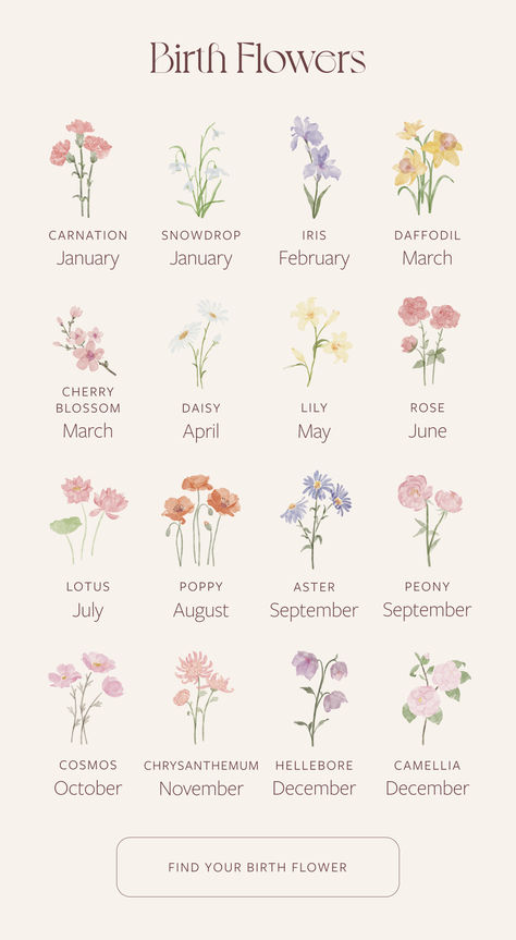 You probably know your zodiac sign…but do you know your birth flower? May September October Flower Tattoo, July Birth Flower Tattoo Color, September And November Flower Tattoo, Flower For February, August Flower Tattoo, August Flower, November Flower, December Birth Flower, May Flower