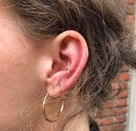 Reverse Tragus Piercing, Low Helix Piercing, Pierce Ear, Unique Piercing, Piercing Orbital, Anti Tragus Piercing, Snug Piercing, Ear Lobe Piercings, Piercing Inspo