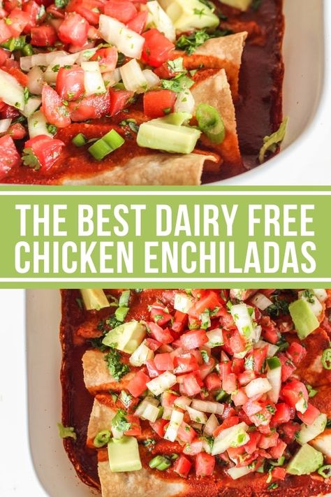 The Best Dairy Free Chicken Enchiladas - The Whole Cook Dairy Free Chicken Enchiladas, Dairy Free Enchiladas, Homemade Red Sauce, Gfcf Recipes, Df Recipes, Turkey Enchiladas, Enchilada Ingredients, Dairy Free Recipes Dinner, Dairy Free Dinner