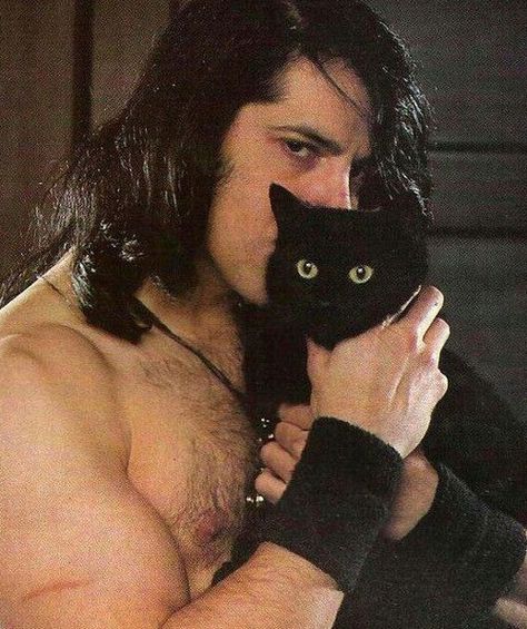 Glenn Danzig Misfits, Samhain Danzig, Celebrities With Cats, Danzig Misfits, Glenn Danzig, Horror Punk, Arte Punk, Cat People, Tv Movie