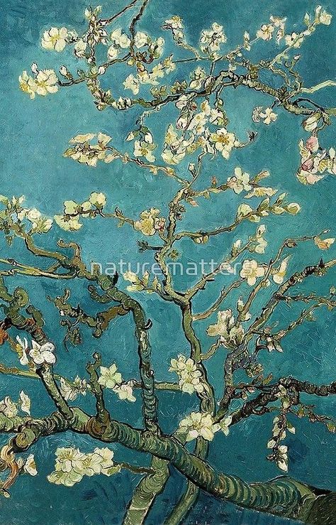 فنسنت فان جوخ, Van Gogh Wallpaper, Oil Painting Trees, Vincent Willem Van Gogh, Oil Painting Frames, Almond Tree, Arte Van Gogh, Fine Art Painting Oil, Van Gogh Paintings