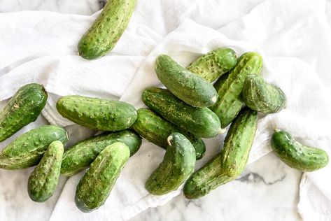 THE BEST Spicy Garlic Dill Pickle Recipe | foodiecrush.com Zesty Bread And Butter Pickle Recipe, Garlic Dill Pickle Recipe, Homemade Pickling Spice, Bread And Butter Pickles Recipe, Bread N Butter Pickle Recipe, Garlic Dill Pickles, Easy Pickling Recipes, Homemade Pickles Dill, Pickle Recipes Homemade