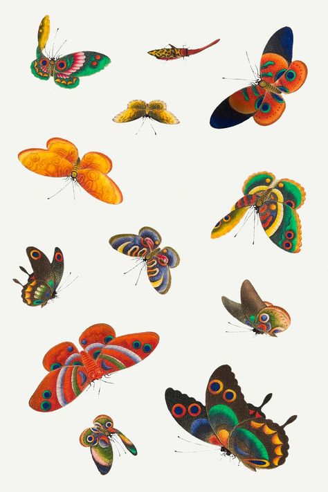 Baby Bugs Bunny, Chinese Butterfly, Chinese Graphic, About Butterfly, Butterfly Animal, Butterfly Painting, Butterfly Watercolor, Authentic Design, Vintage Butterfly