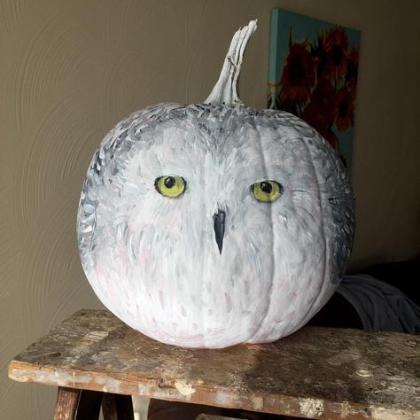 Hedwig pumpkin 🎃 ⚡️🦉 #harrypotter #hedwig #pumpkinpainting Hedwig Pumpkin Painting, Harry Potter Painted Pumpkin, Hedwig Pumpkin, Harry Potter Pumpkin Ideas, Owl Pumpkin Carving, Harry Potter Pumpkin, Halloween Harry Potter, Pumpkin Decorating Diy, Halloween Pumpkin Crafts