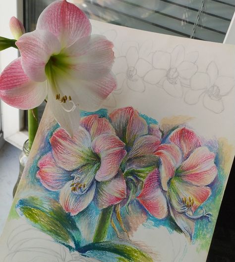 By Flowerinna Drawing Ideas Aesthetic Flowers, Colored Pen Art, Flower Drawing Color Pencil, Color Pencil Flowers, Color Pencil Illustration, A Level Art Sketchbook, Sketchbook Art Journal, Art Painting Gallery, Dark Art Drawings