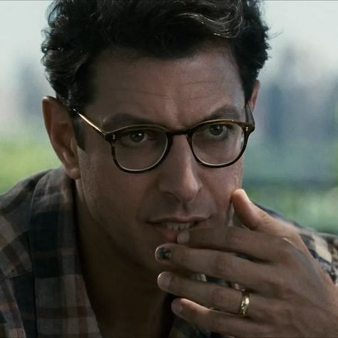 Jeff Goldblum Icon, Ian Malcom Jurassic Park, Jeff Goldblum 90s, Jeffrey Goldblum, Young Jeff Goldblum, Jeff Goldblum Independence Day, David Levinson, Jeff Goldblum Jurassic Park, Renee Bellerive