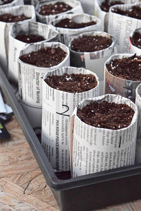 How to make your own newspaper seedling pots for starting seeds indoors, along with tips and ideas for soil, supplies, and growing plants from seed. #adventuresofmel #seedstarting #gardening Newspaper Pots, Spring Time Activities, Smart Gardening, Seedling Pots, Seed Pots, Starting Seeds Indoors, Fall Garden Vegetables, Home Vegetable Garden, Backyard Diy Projects