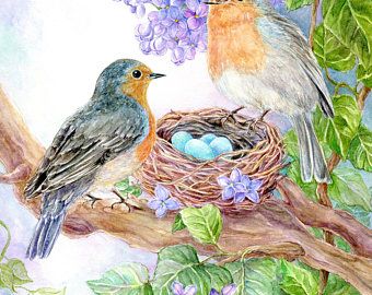 Bird Nests Art, Bird Nest Painting, Robin Eggs, Eggs Art, Robin Birds, Nest Art, Penguin Drawing, Lilac Tree, Blue Eggs