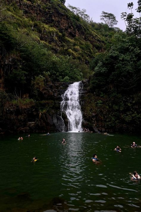 Oahu Bucket List: 46 of the Best Things to do in Oahu | Waimea Falls #simplywander #oahu #hawaii Oahu Waterfalls, Waimea Falls, Hawaii Vacation Tips, Things To Do In Oahu, Castle Beach, Hawaii Hikes, Hawaii Itinerary, Oahu Vacation, Waimea Bay