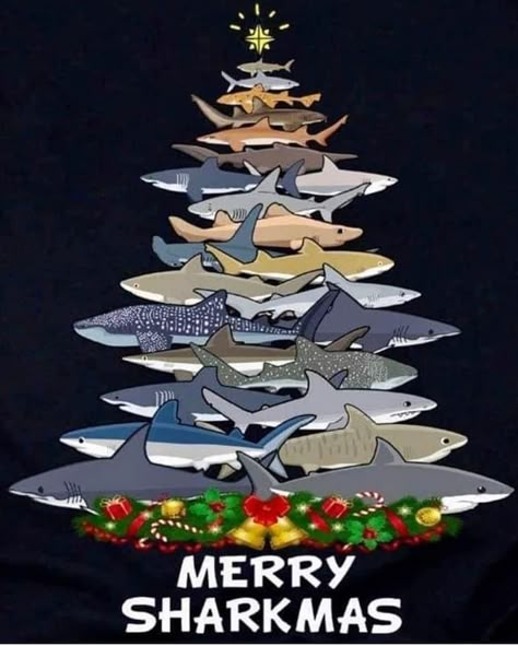 Funny Shark Pictures, Shark Christmas Tree, Tropical Christmas Decorations, Christmas Shark, Shark Wallpaper, Christmas Tree Funny, Shark Christmas, Pet Shark, Save The Sharks