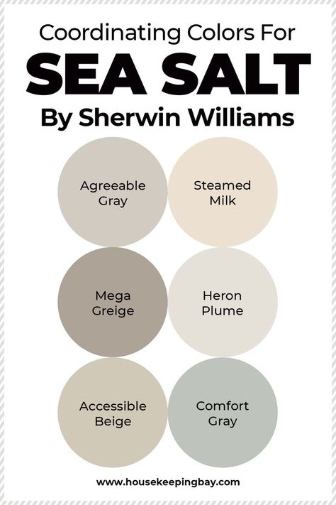 Colors That Go With Sea Salt Sherwin Williams, Sherman Williams Sea Salt Coordinating Colors, Rustic Interior Paint Colors Schemes, Coordinating Colors With Sea Salt, Sherwin Williams Sea Salt Coordinating Colors, Coordinating Paint Colors Interiors, Sea Salt Sherwin Williams Coordinating Colors, Colors That Go With Sea Salt Paint, Sea Salt Kitchen Walls