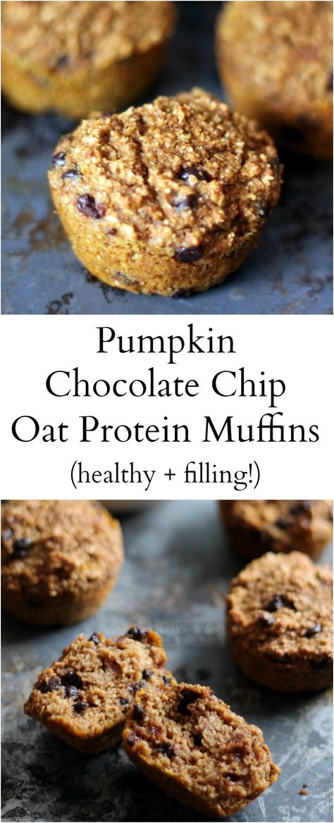 Healthy pumpkin oat bran muffins made with protein powder and greek yogurt to help keep you full! These muffins are delicious! Oat Bran Muffins, Pumpkin Oats, Oat Bran, Bran Muffins, Pumpkin Chocolate Chip, Healthy Snacking, Protein Muffins, Protein Powder Recipes, Pumpkin Chocolate Chips