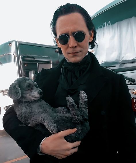 Tom Hiddleston Funny, Silver Poodle, Thomas Sharpe, Crimson Peak, Living Under A Rock, Thomas William Hiddleston, Marvel Actors, Video Games For Kids, Loki Laufeyson