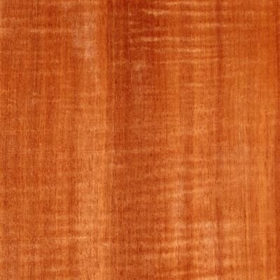 Eucalyptus, or &quot;lyptus,&quot; as it is commonly referred to by woodworkers, is a dense, tight-grained hardwood. It is actively farmed and harvested in the Northern Hemisphere and is used ... Eucalyptus Wood, Woodworking, Wood