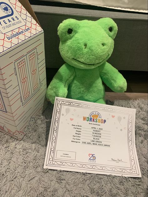 Frog From Build A Bear, Giant Build A Bear Frog, Spring Green Frog Build A Bear Aesthetic, Build A Bear Frog, Frog Plushie Build A Bear, Build A Bear Outfits, Frog Pictures, Cute Squishies, Green Frog