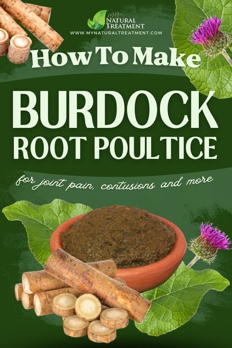 How to Make Burdock Root Poultice #burdock #burdockroot #burdockpolutice #burdockrootuse #burdockrootuses #burdockuses #poultice Burdock Root Recipes, Herb Recipes, Burdock Root, Herbal Recipes, Herbal Apothecary, Homemade Remedies, Healing Herbs, Natural Health Remedies, Human Anatomy