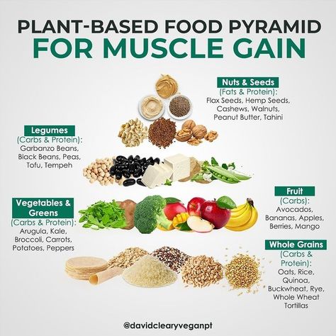 Vegan Weight Gain, Gain Food, Vegan Food Pyramid, Vegan Bodybuilding Diet, Carbs In Vegetables, Muscle Gain Meal Plan, Carbs In Fruit, Vegan Benefits, Vegan Gains