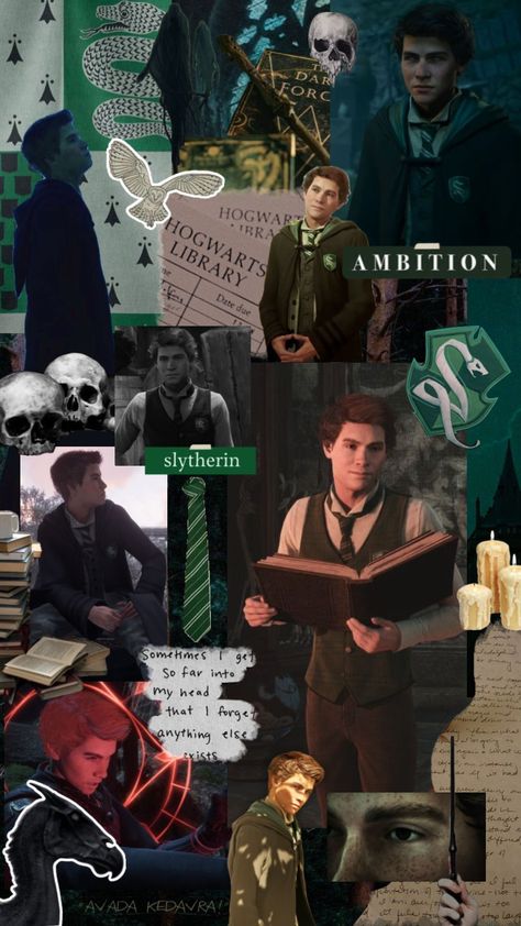 #hogwartslegacy #sebastiansallow #slytherin Ominis Gaunt, Hogwarts Library, Sebastian Sallow, Harry Potter Artwork, Slytherin Aesthetic, Wizarding World Of Harry Potter, Wizarding World, Thank God, Your Aesthetic