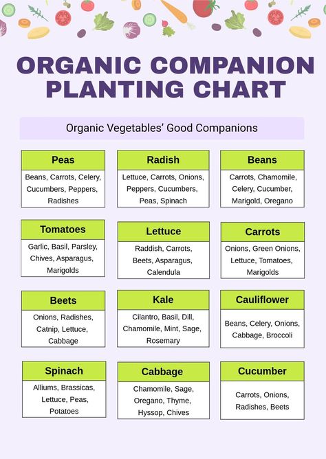 Free Organic Companion Planting Chart - Download in PDF, Illustrator | Template.net Planting Table, Planting Chart, Companion Planting Chart, Companion Gardening, Natural Farming, Illustrator Template, Plant Table, Chart Template, Vegetable Garden Design