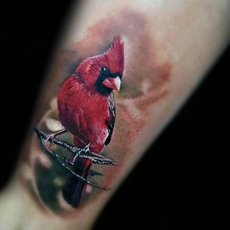 60 Cardinal Tattoo Designs Cardinal Tattoo Ideas, Cardinal Bird Tattoos, Red Cardinal Tattoos, Red Bird Tattoos, Cardinal Tattoo, Cardinal Tattoos, Vogel Tattoo, Branch Tattoo, Animals Jokes