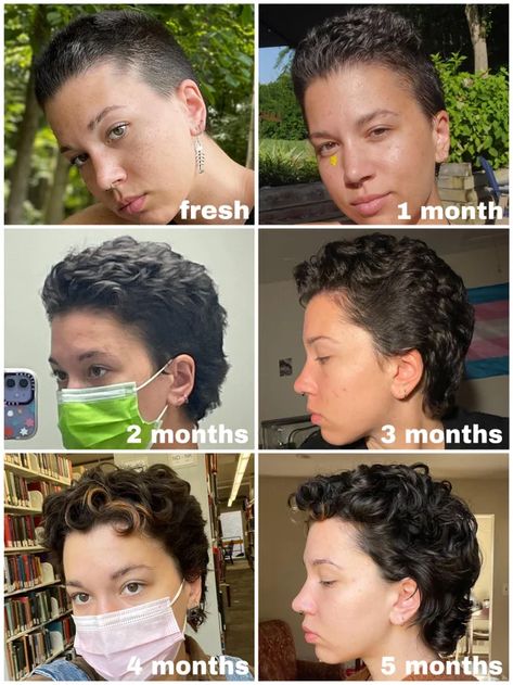 Buzzed Curly Hair, Buzzcut Curly Hair, Hairstyles For Growing Out Shaved Head, Growing Out Shaved Head, Overgrown Buzzcut, Buzz Cut Curly Hair, Buzzcut Grow Out Stages, Pixie Grow Out Style, Growing Out Buzzcut