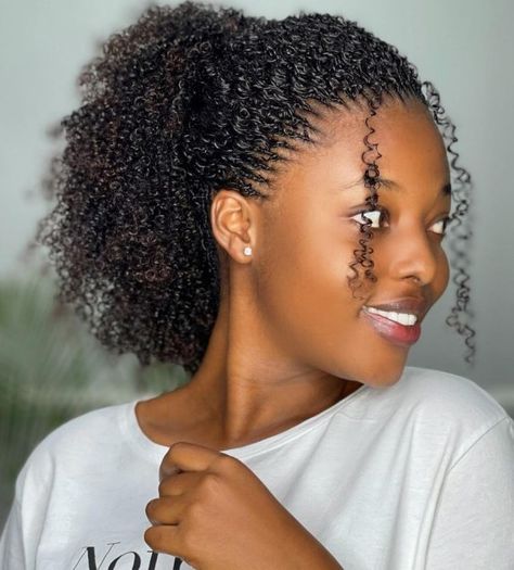 Neat High Ponytail for Natural Hair Long Ponytail Hairstyles, Cornrow Ponytail, High Ponytail Hairstyles, Curly Crochet Hair Styles, Ponytail Hairstyles Easy, Black Ponytail Hairstyles, Twist Ponytail, African Hair Braiding Styles, Simple Ponytails