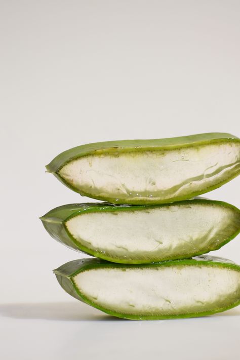 This just makes aloe vera leaves look so soothing! Styled by Megan Powell Aloe Product Photography, Aloe Vera Aesthetic, Natural Aloe Vera, Aloe Leaf, Benzoic Acid, Aloe Vera Extract, Aloe Vera Leaf, Organic Shea Butter, Creative Packaging