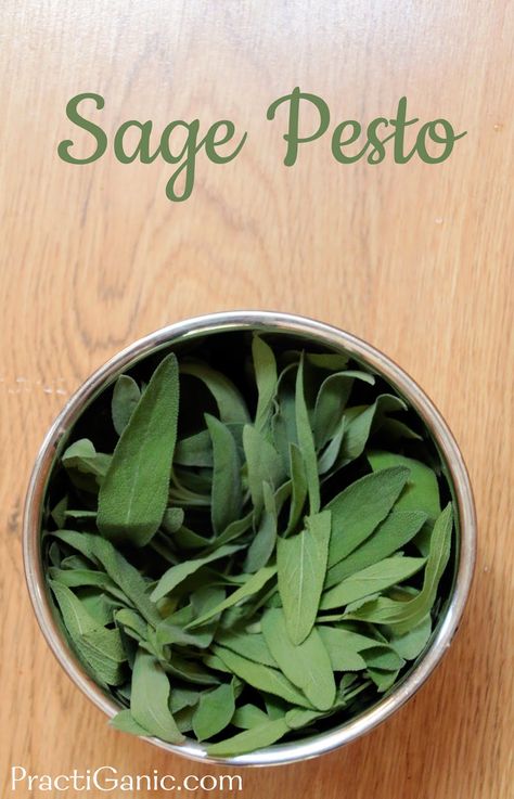 Mexican Dressing, Sage Pesto, Pesto Recipes, Sage Recipes, Roasted Cashews, Pesto Recipe, Toasted Walnuts, Garden Recipes, Pesto Sauce