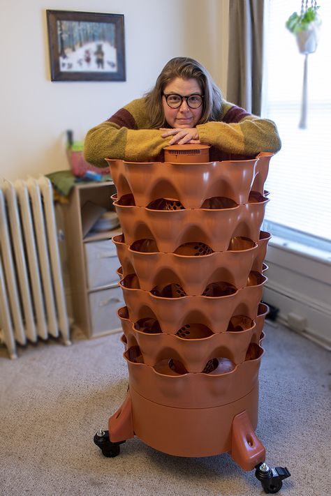 Trying Out the Garden Tower 2 - A Vertical Planter For Growing 50 Plants Tower Garden Diy, Grow Tower, Plant Tower, Stackable Planters, Garden Tower, Strawberry Tower, Vertical Garden Plants, Vertical Vegetable Garden, Backyard Balcony