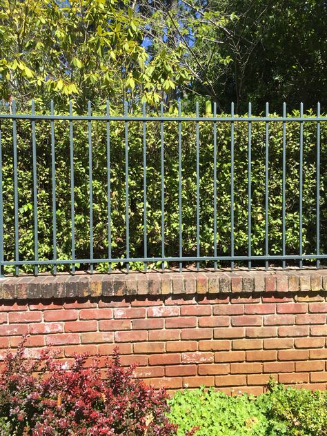 Front wall. All brick (or stucco w brick cap) and wrought iron fence on top. Privacy hedge behind. Raised Garden Bed Fence, Simple Garden Fence, Garden Bed Fence, Small Garden Fence, Wrought Iron Fence, Garden Fence Ideas, Cheap Fence, Simple Garden, Brick Fence