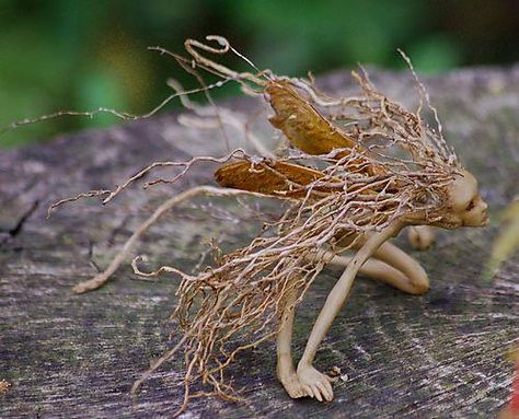 twig fairy Yard Crafts, Tree Root, Faeries Gardens, Deco Nature, Fairies Elves, Forest Creatures, Art Et Illustration, Mystical Creatures, Fairy Art