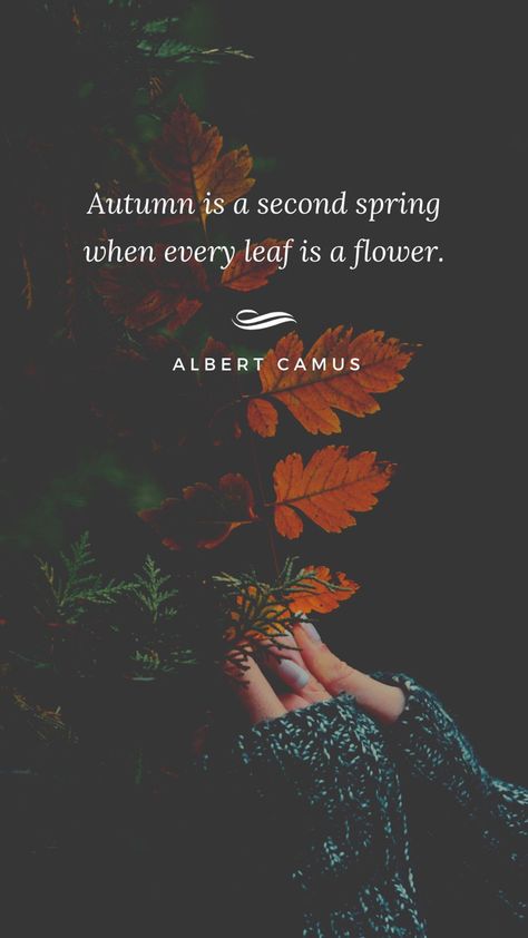 Autumn Is A Second Spring Quote, Autumn Is A Second Spring, Leaf Quotes Nature, Sprital Quotes, Autumn Leaves Quotes, Autumnal Quotes, Hello October Quotes, Leaf Quote, Autumn Quotes Inspirational