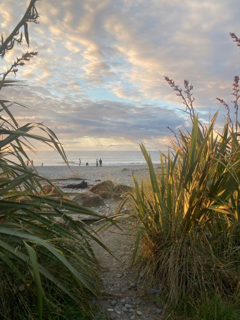 pebble beach with bushes Spring In New Zealand, New Zealand North Island Aesthetic, Living In New Zealand Aesthetic, Summer In New Zealand, Greymouth New Zealand, New Zealand Aesthetic, New Zealand Summer, Nz Summer, New Zealand Homes