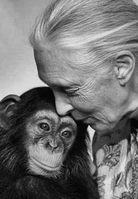 Valentina Tereshkova, Baby Chimpanzee, Spiritual Evolution, Smile Art, I Like Her, Jane Goodall, Drawing Face, Human Touch, Animal Study