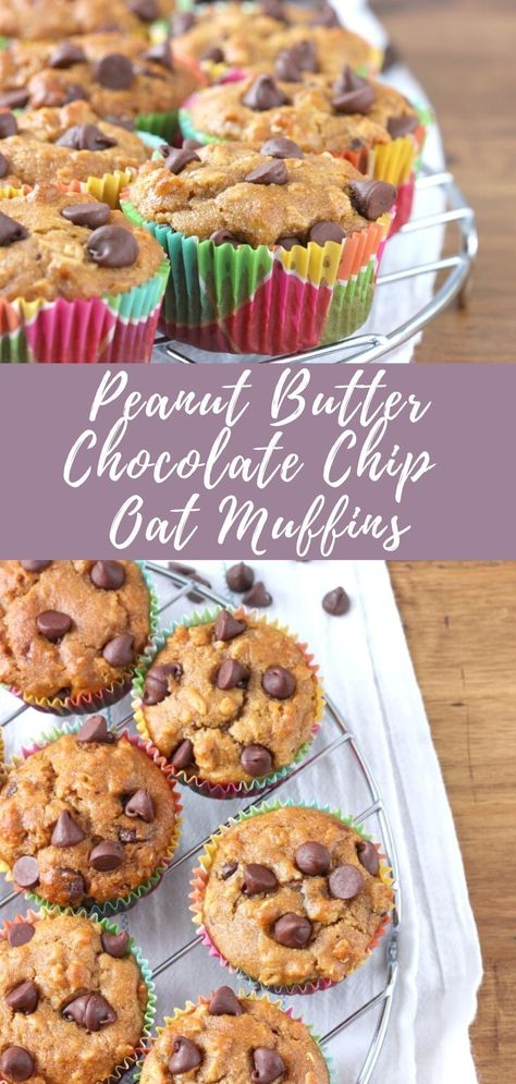 Healthy Peanut Butter Muffin Recipes, High Fiber Chocolate Chip Muffins, Healthy Peanut Butter Muffins, Pb2 Muffins, Peanut Butter Oat Muffins, Peanut Butter Protein Muffins, Amazing Muffins, Peanut Butter Oatmeal Muffins, Kid Muffins