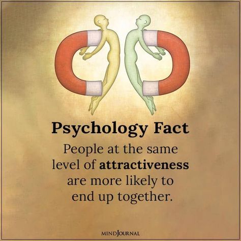 Attractive Facts, Psycology Tips, Human Psychology Facts, Funky Bathrooms, Sigma Man, Physcology Facts, Psychology Notes, Human Psychology, Motivation Psychology