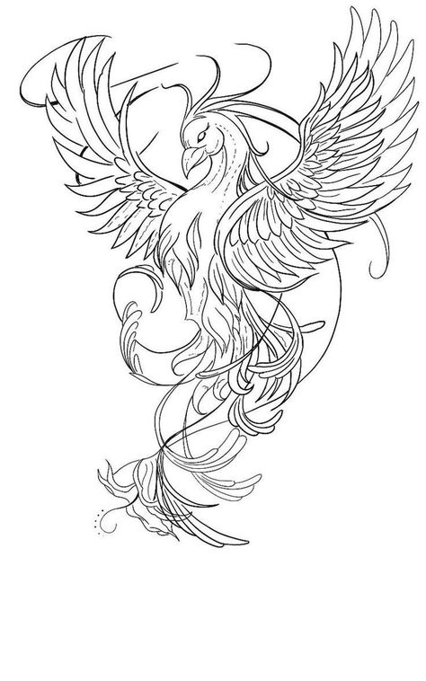 Tato Geisha, Phoenix Drawing, Phoenix Tattoo Feminine, Phoenix Bird Tattoos, Phoenix Tattoo Design, Muster Tattoos, Tattoo Templates, Tatuaje A Color, Tattoo Stencil Outline