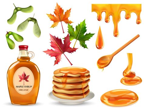 Maple Syrup Illustration, Syrup Branding, Syrup Illustration, Maple Syrup Bottles, Canada Tattoo, Bottle Vector, Autumn Elements, Food Story, Syrup Bottle