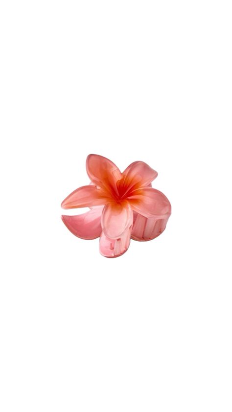 Hibiscus Hair Clip, Clip Png, Hibiscus Hair, Flower Hair Clip, Hibiscus Flower, Flower Hair Clips, Hibiscus Flowers, Flower Hair, Flowers In Hair