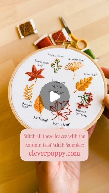 Julie Stuart ⋒ on Instagram: "Stitch 8 of your fav Autumn leaves including maple leaf, ginkgo leaf and poppy buds in our new Autumn Leaf Stitch Sampler! 🍁🍂  Which leaf is your fav? Let us know in the comments below 👇  Grab your kit while stocks last: cleverpoppy.com 💕  #embroidery #modernembroidery #DIY #beginnerembroidery #crafts" Maple Leaf Embroidery Design, Leaf Embroidery Pattern Design, Fall Leaf Embroidery, Poppy Buds, Maple Leaf Embroidery, Leaf Stitch, Sweet Gum, Birch Leaf, Stitch Sampler