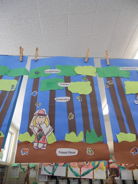 Rainforest Classroom, Rainforest Crafts, Rainforest Project, Rainforest Activities, Rainforest Habitat, Rainforest Theme, 1st Grade Science, Rainforest Animals, Kindergarten Science